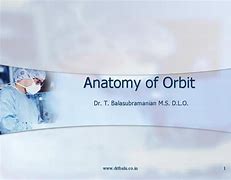 Image result for Orbit Anatomy PPT