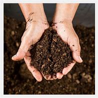 Image result for Tonne Bag Peat Moss