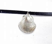 Image result for Beach Shell Jewelry