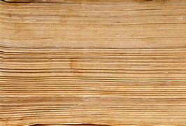 Image result for Book Side Texture