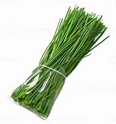 Image result for Chives Shaker PNG