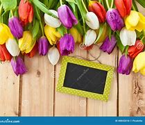 Image result for Springtime Tulips