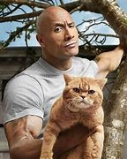 Image result for Buff Cat Guy