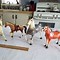 Image result for Plastic Toy Horses Set