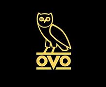 Image result for Drake Owl