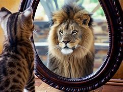 Image result for Cat Mirror Sees Lion