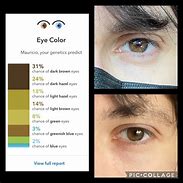 Image result for Dark Grey Hazel Eyes