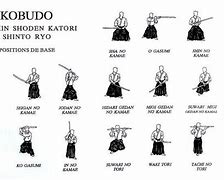 Image result for Katana Stances