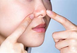 Image result for Columella Septum