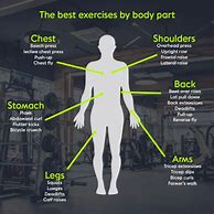 Image result for Different Parts of Body to Workout