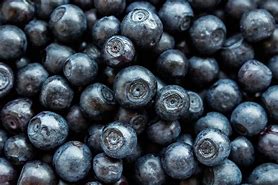 Image result for Blueberry JPEG