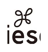 Image result for Liese Logo