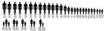 Image result for Human Height Chart Age