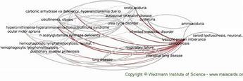 Image result for Lysinuric Protein Intolerance