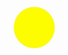 Image result for Yellow Circle Real Life