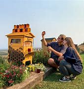 Image result for Honey Bee Hive Flow