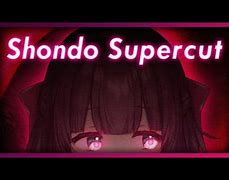 Image result for Shondo Vtuber Hit by Car