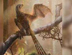 Image result for Bat-Like Dinosaur