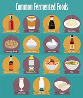 Image result for Fermentation Processes