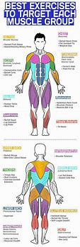 Image result for Different Parts of Body to Workout