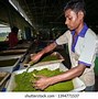 Image result for Chemical Factory in India