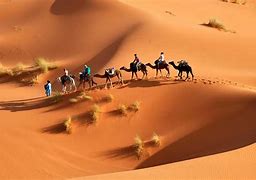 Image result for Tunisia Desert Tourism