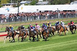 Image result for Ipswich Racecourse