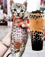 Image result for Milk Tea Meme