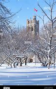 Image result for University of Western Pics