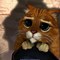 Image result for Animated Kitty Cat