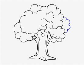 Image result for Tree Sketch