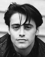 Image result for Matthew LeBlanc