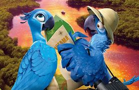 Image result for Blue De Rio