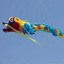 Image result for Inflatable Dragon Kite