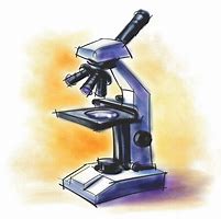 Image result for Clip Art Lens of Microscope