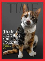 Image result for Pet Magazine Covers