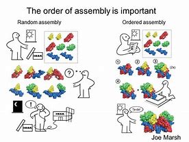 Image result for Protein Assembly