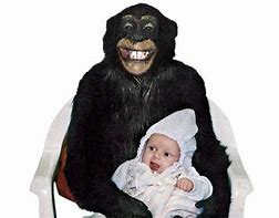 Image result for Stillborn Chimp