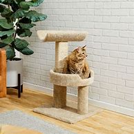 Image result for Wood Cat Tree