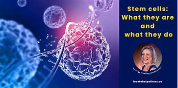 Image result for Saving Stem Cells