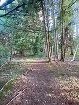 Image result for Reffitt Nature Preserve