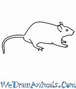 Image result for Easy to Draw Rat