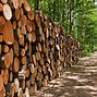 Image result for Logging Road Height Map