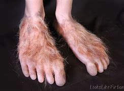 Image result for Hobbit Feet Frodo