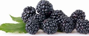 Image result for 100 Grams of Blackberries