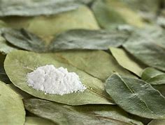 Image result for Cocaine Natural Form