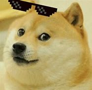 Image result for Yaco Doge GIF