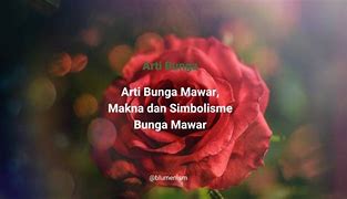 Image result for Arti Bunga Mawar