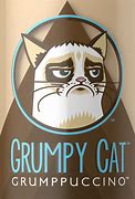 Image result for Grumpy Cat Drinking Coffee