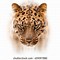 Image result for Leopard Front